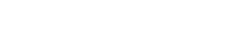 videowien
